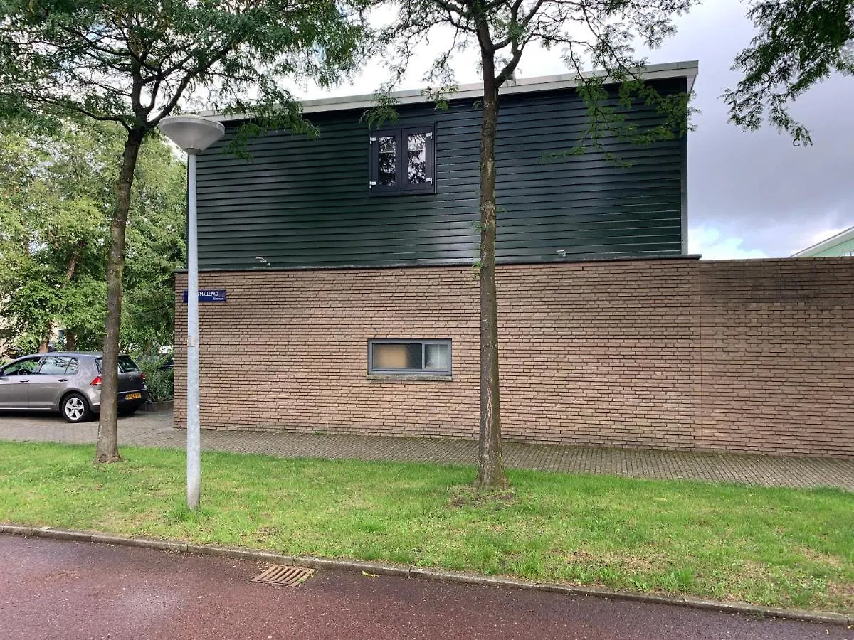 哈巴巴短期住宿加早餐旅馆 阿姆斯特丹 0*,
